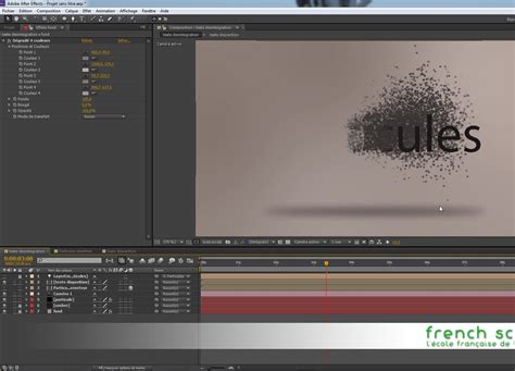 Tuto D Sint Grer Un Texte Avec Particular Avec After Effects Cs Sur