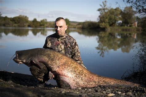 581 Giant Catfish Stock Photos Free Royalty Free Stock Photos From