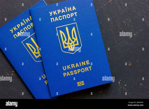 Two Ukrainian Passports Ukrainian Biometric International Passport