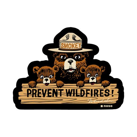 Prevent Wildfires Smokey Bear X Noso Noso Patches