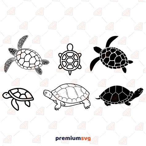 Land Turtle Svg