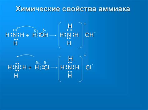 Амины - презентация онлайн