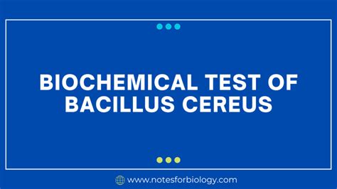 Bacillus cereus - Biochemical Test