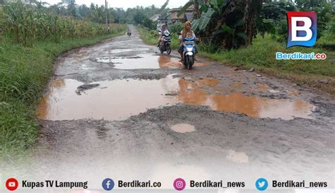 Berdikari 5 Tahun Lebih Rusak Parah Jalan Di Matarambaru Lamtim Tak