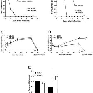 Susceptibility of db/db and ob/ob mice to L. monocytogenes infection ...