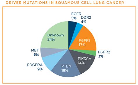 Squamous Cell Lung Cancer | LUNGevity Foundation