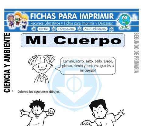 Mi Cuerpo Para Segundo De Primaria Fichas Para Imprimir