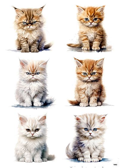 Six Kittens Are Shown In Four Different Colors