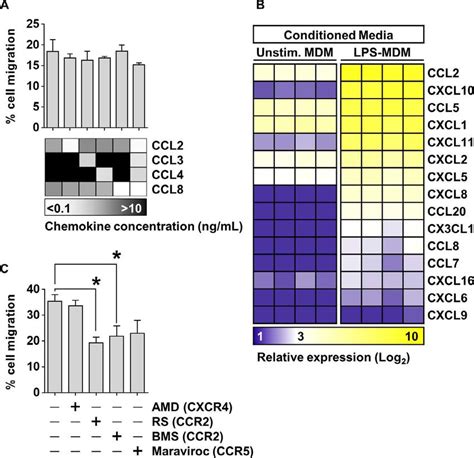 A Monocyte Transmigration Across Hcmec D3 Cells Incubated With Com Download Scientific