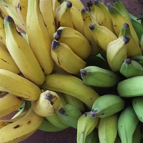 Fresh Produce Exotic Plantain Whole Fruits 4 Lbs