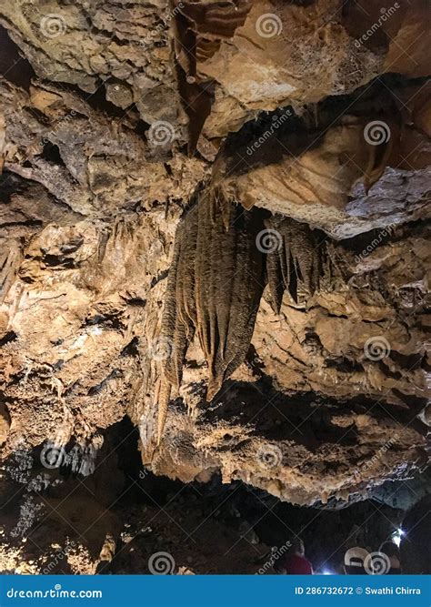 Lago Shasta Cavernas Monumento Natural Nacional California Foto De