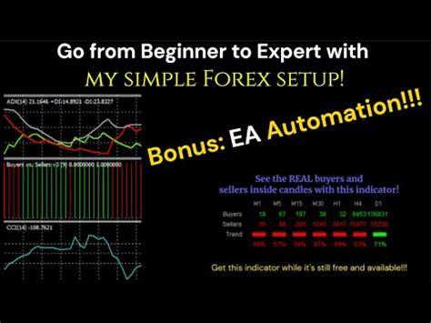 The Only Forex Setup You Need My Setup Covers Everything Galileotips