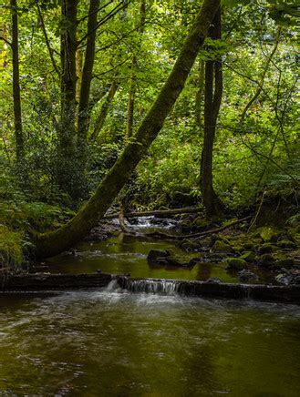 Edenfield Plunge The Hidden Waterfall In Manchester You Probably Didn