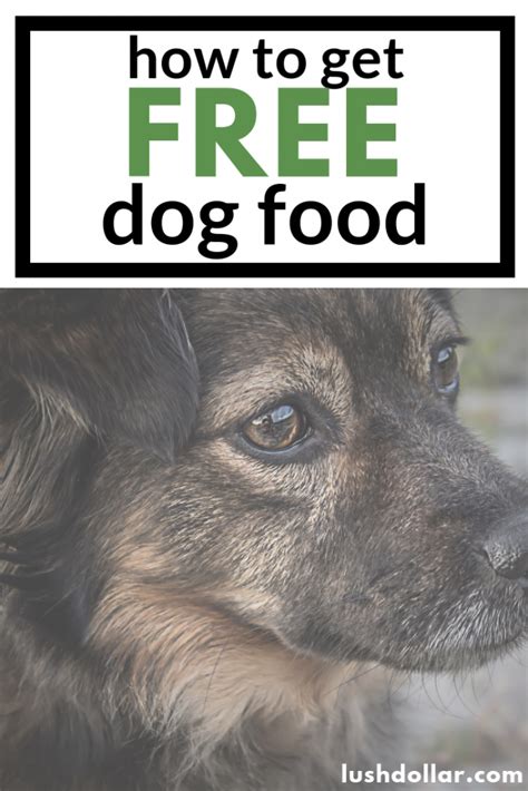 26+ (100%) Free Dog Food Samples by Mail - LushDollar.com