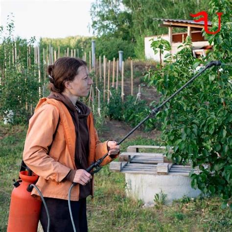 Curso De Aplicación De Métodos De Control Fitosanitarios En Plantas