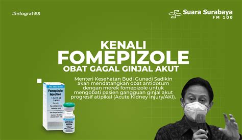 Tanaman Obat Gagal Ginjal Homecare24