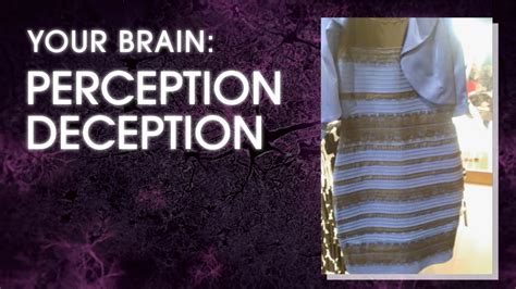 Nova “your Brain Perception Deception” Arizona Pbs