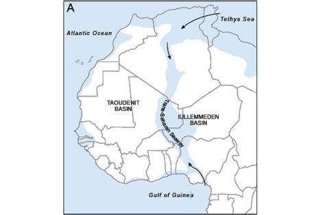 Als Teile Der Sahara Unter Wasser Lagen Lebten Dort Sehr Gro E Fische