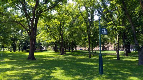 Hokkaido University Campus : Sapporo | Visions of Travel