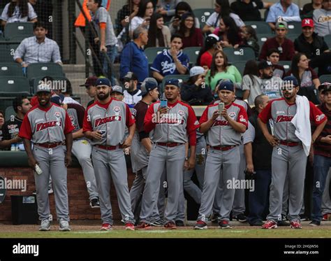 Celebridades De La Foto Hi Res Stock Photography And Images Alamy