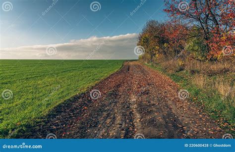 Autumn Sunset Stock Photo Image Of Grass Dawn Meadow 220600428