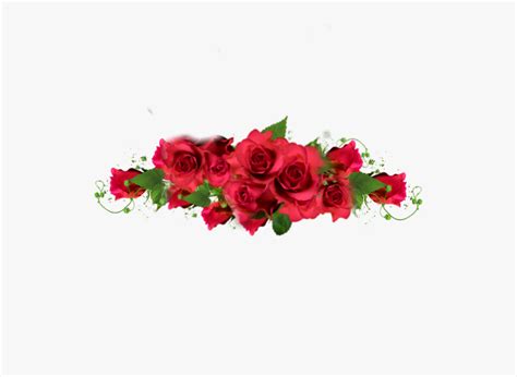 Rose Roses Border Redroses Red Redaesthetic Romantic Sticker