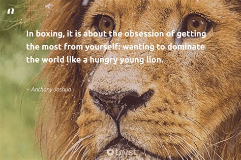 Top Lion Quotes Images Amazing Collection Lion Quotes Images Full K