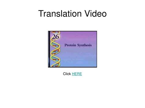 Ppt Transcription Vs Translation Powerpoint Presentation Free