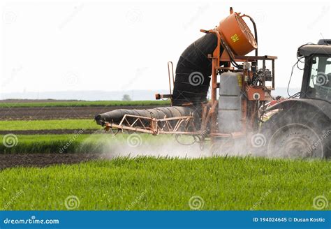 Campo De Trigo De Plaguicidas Para Rociado Con Tractores Imagen De