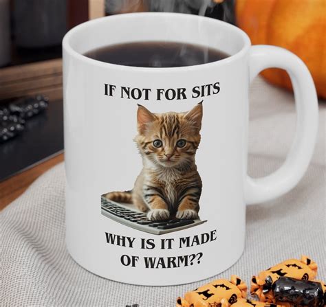 Cat on Keyboard Meme If Not for Sits Why is It Made of - Etsy