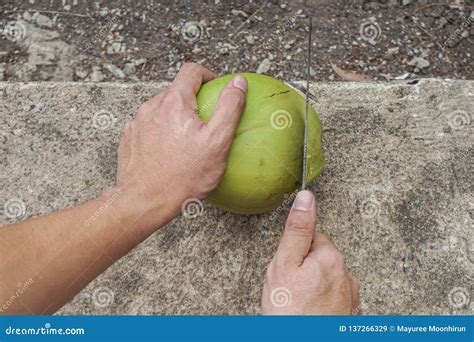 Coconut Shelling Machine Stock Image CartoonDealer 123634801