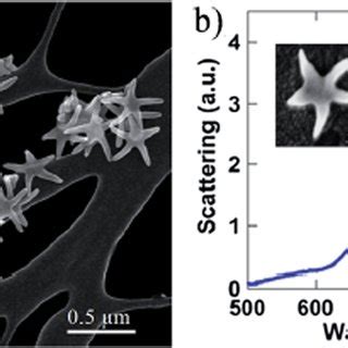 A SEM Image Of The AuCu Nano Stars Used As SERS Substrate The Image