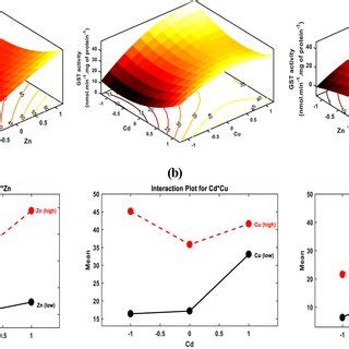 Effect Of Cd Zn And Cu On Cat Activity U Mg Of Protein Response