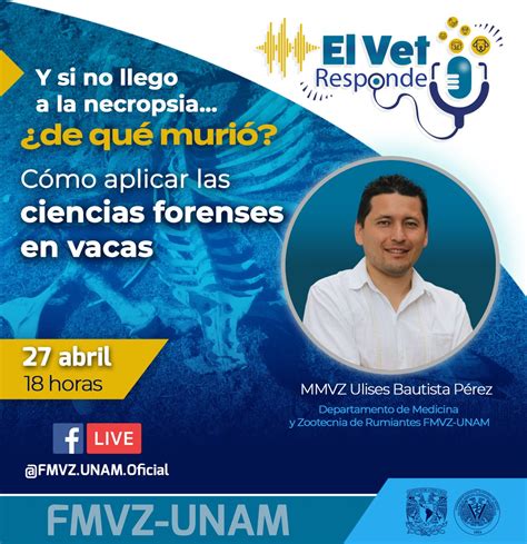 FMVZ UNAM on Twitter Mañana en ElVetResponde hablaremos sobre cómo