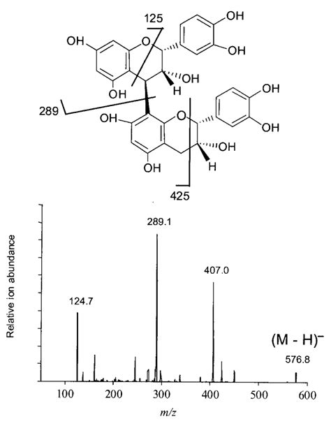 The Structure Of Procyanidin Dimer B2 Epicatechin 4 8 Epicatechin