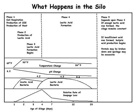 Determine The Characteristics Of Good Silage And The Steps In Producing