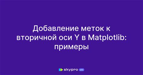 Добавление меток к вторичной оси Y в Matplotlib примеры