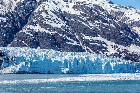 Glacier Bay National Park and Preserve | Alaska, USA, Wildlife ...