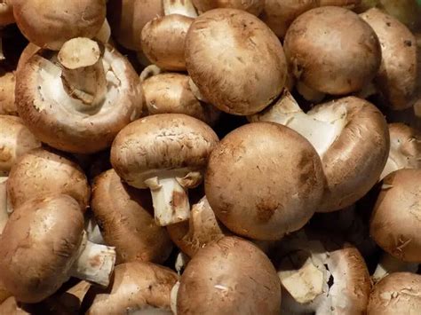 Comment nettoyer les champignons de Paris La bonne méthode