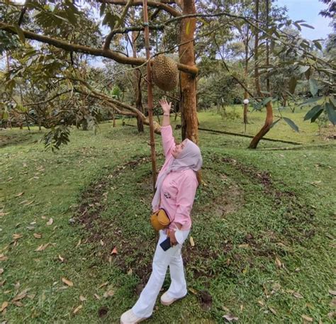 Kebun Durian Warso Farm Bogor Surganya Pecinta Durian