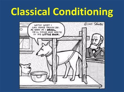 Ppt Classical Conditioning Powerpoint Presentation Free Download Id 2379807