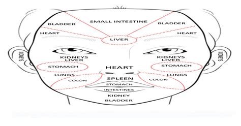 chinese face mapping FB - Just Naturally Healthy