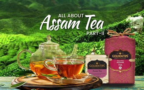 You Are Wondering What Makes Assam Tea So Special Most Frequently Asked Questions Answered On