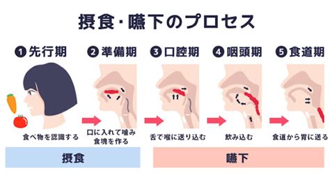 誤嚥性肺炎を防ぐために「のみこむ力」を鍛えよう！