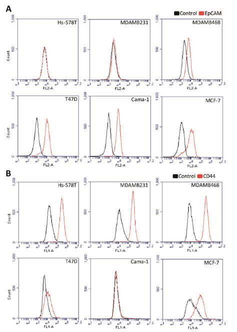 Epithelial Cell Adhesion Molecule EpCAM And CD44 Expression Was