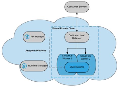 anypoint platform concepts flashcards quizlet