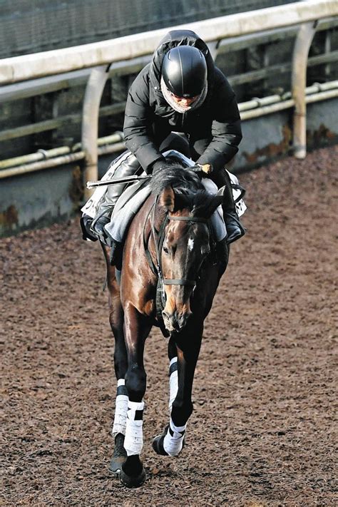 【東京新聞杯】マスクトディーヴァ、三冠牝馬に肉薄した末脚でマイル路線参戦 新境地切り開く：中日スポーツ・東京中日スポーツ