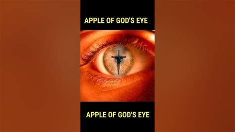 Apple Of Gods Eye Daily Bible Words Subscribe Share Gospel With All