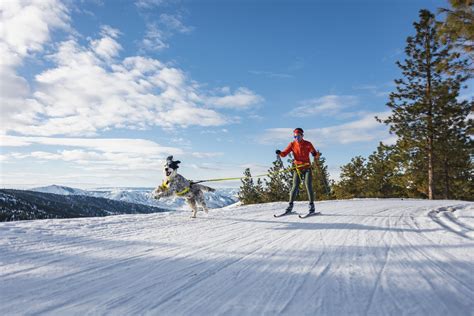 Equipements Ruffwear Test Sur Le Terrain Approuv Par Les Chiens