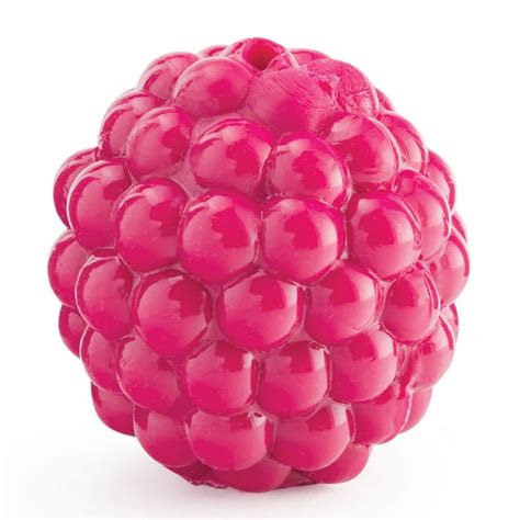 Planet Dog Orbee-Tuff Raspberry Treat-Dispensing Dog Chew Toy, Pink ...